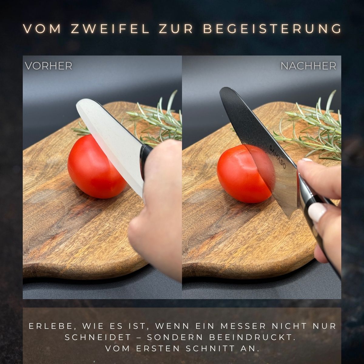 A single green leaf against a white background.